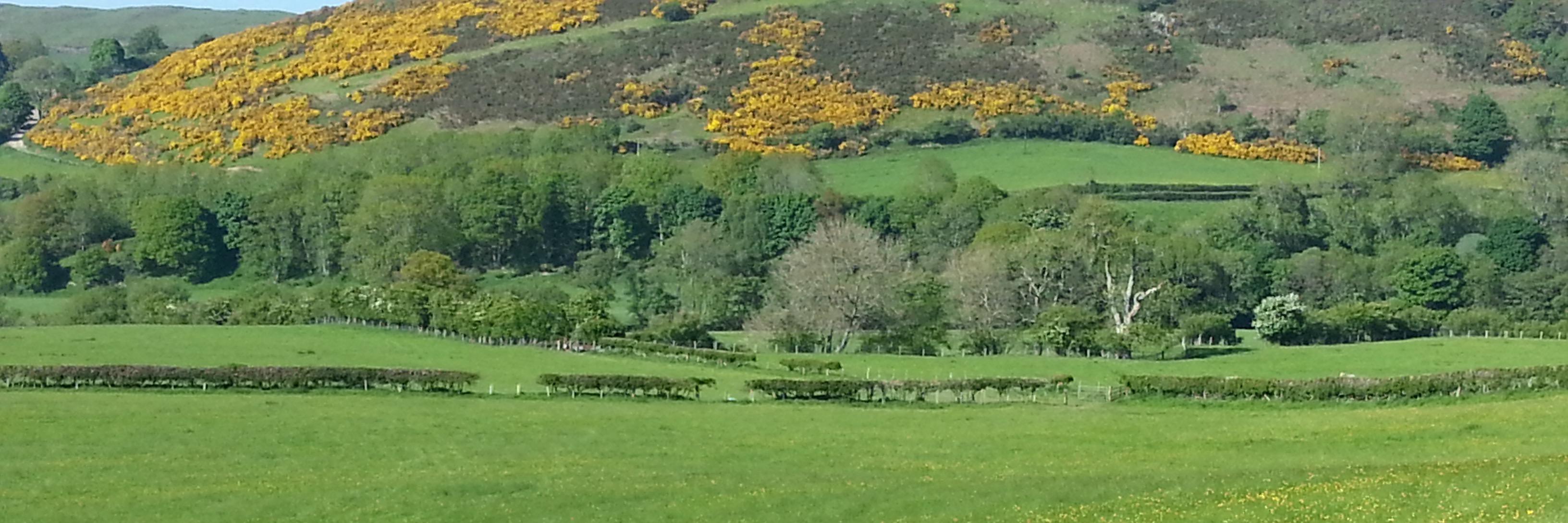 Antoinette Sandbach banner