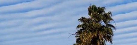 Gustavo Echeverry Franco banner