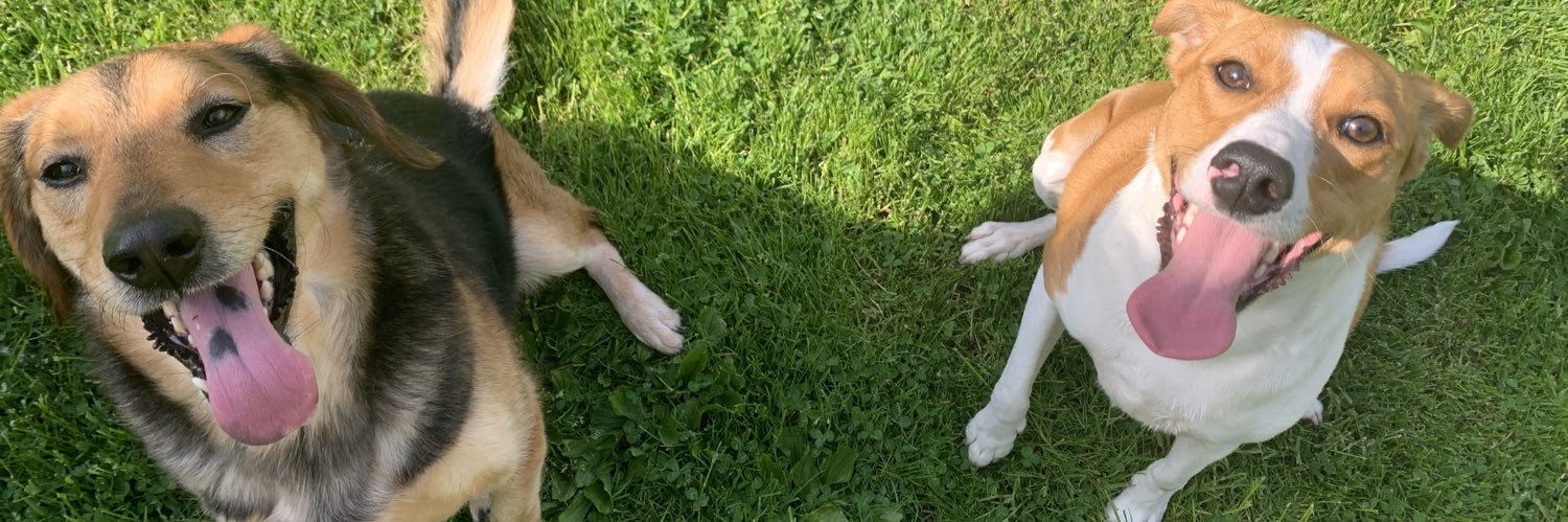 Leandra Ferony banner