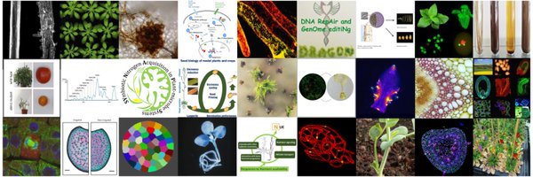 ijpb_fr Profile Banner