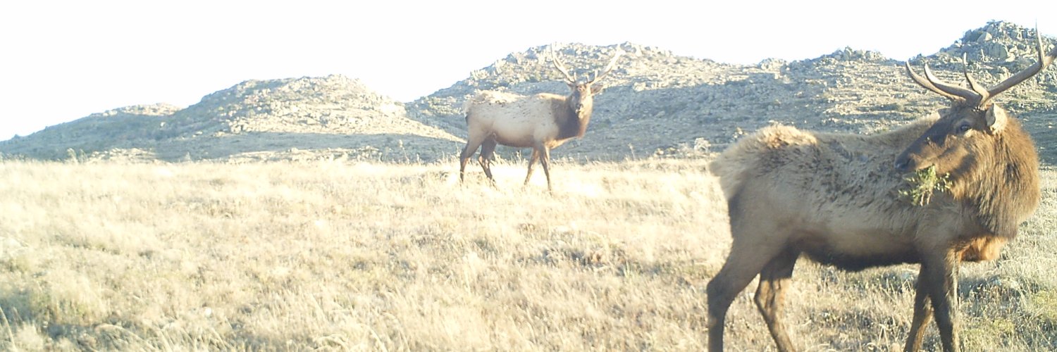 USFWS Southwest Biology banner