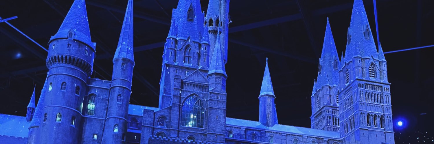 wonkywarrior's profile banner image