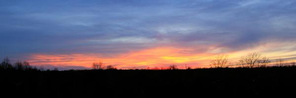 Ferguson_RES Profile Banner