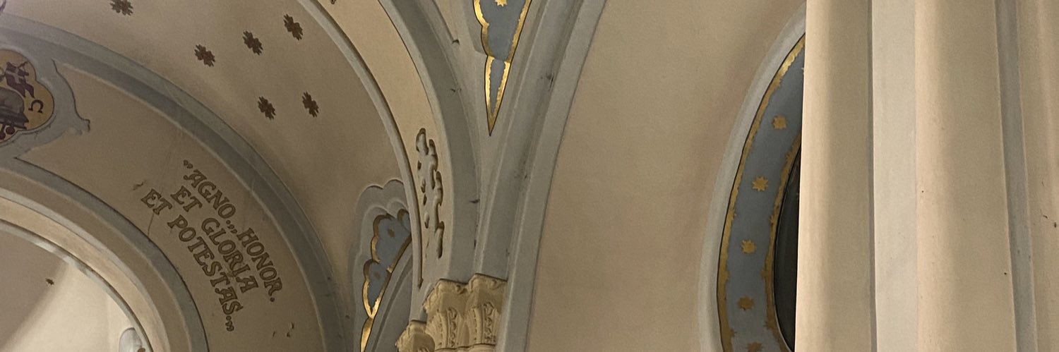 Oli 🌙 banner