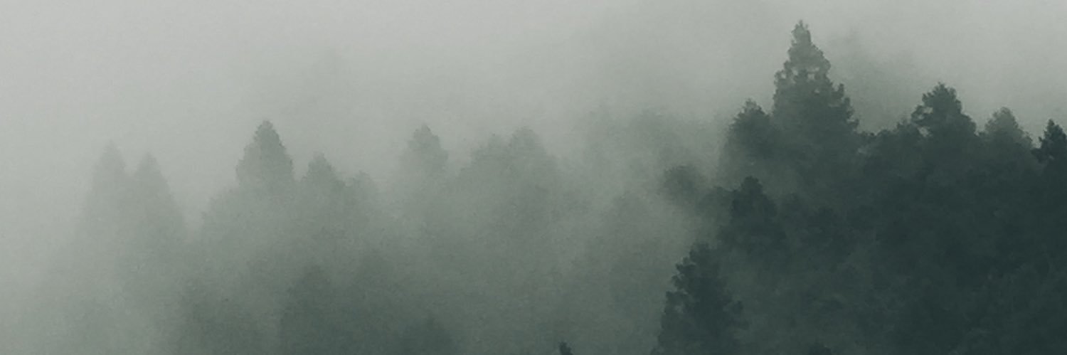 corey_cojo's profile banner image