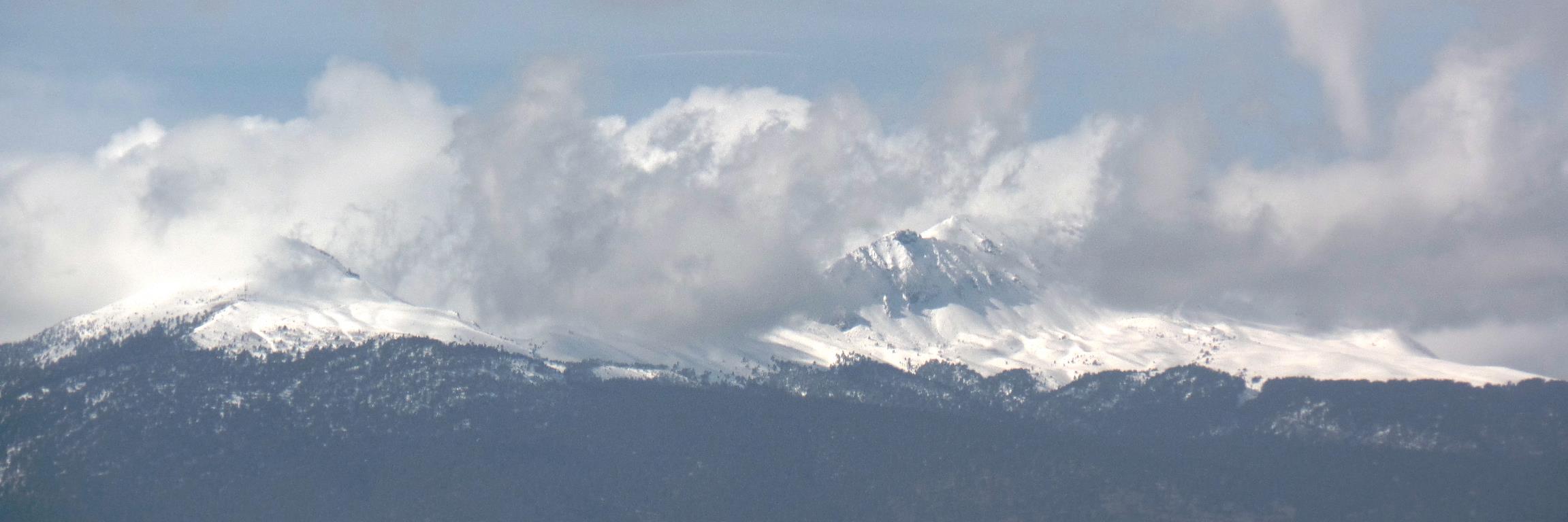 Luis E Mejía Pedrero banner