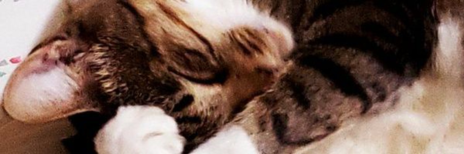 _i_t_a_'s profile banner image