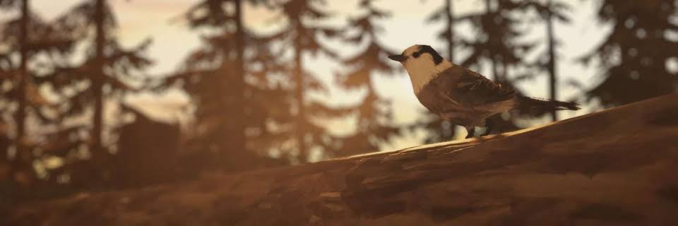 falling hippie (мэр) banner