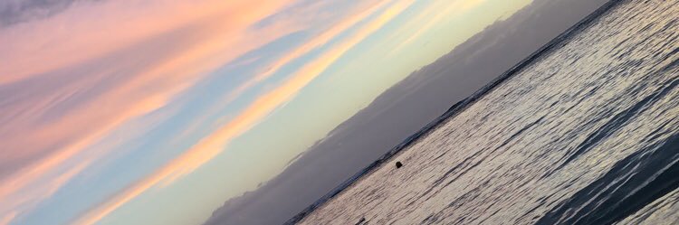 SSarud's profile banner image