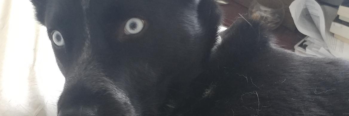 JoAnneButts7's profile banner image
