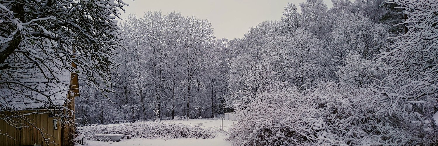 Robert Sandell banner