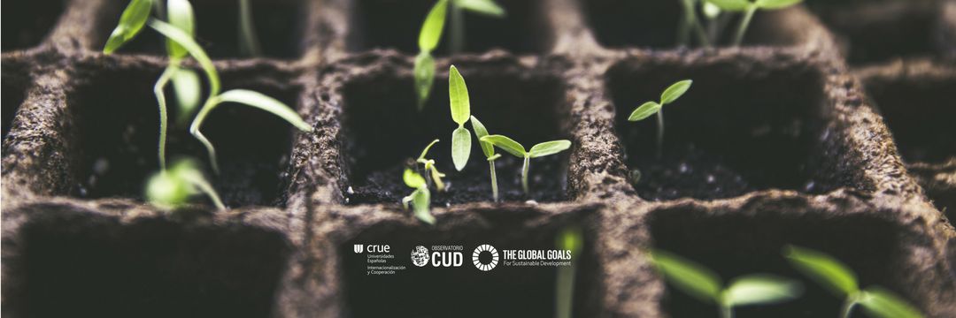 ObservatorioCUD's profile banner image
