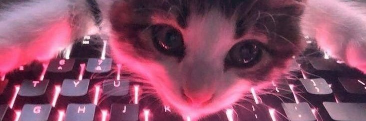 Ceej (🐦‍⬛/lover) banner