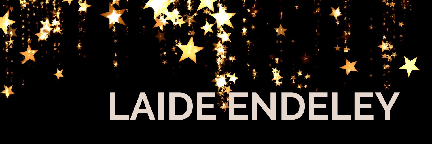 laide_endeley's profile banner image