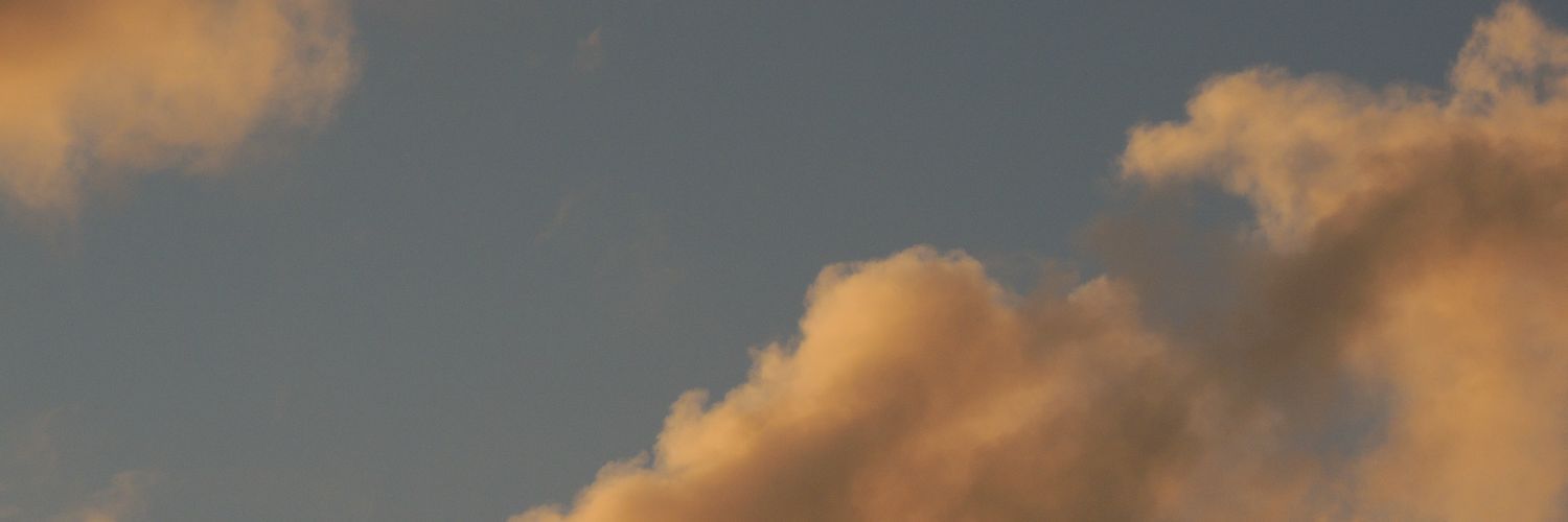 fernando banner