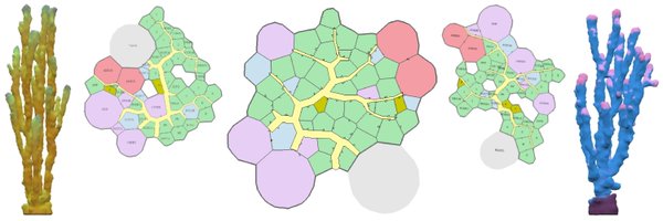 _joelsimon Profile Banner