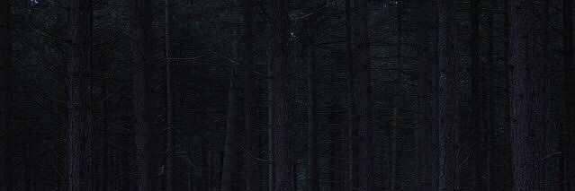 DOMINICDOM_'s profile banner image