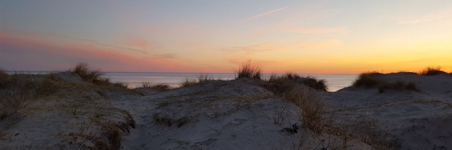 Dear Liebling banner