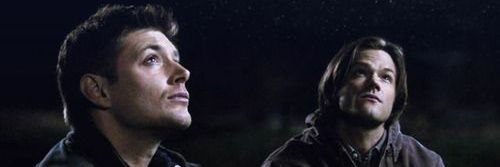 saphirarott's profile banner image