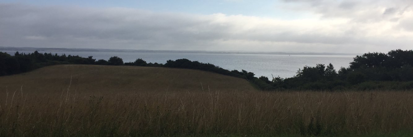 AnneBHRasmussen's profile banner image