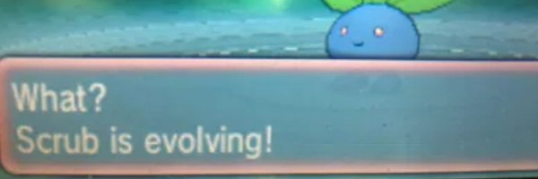 HolyLocust Profile Banner