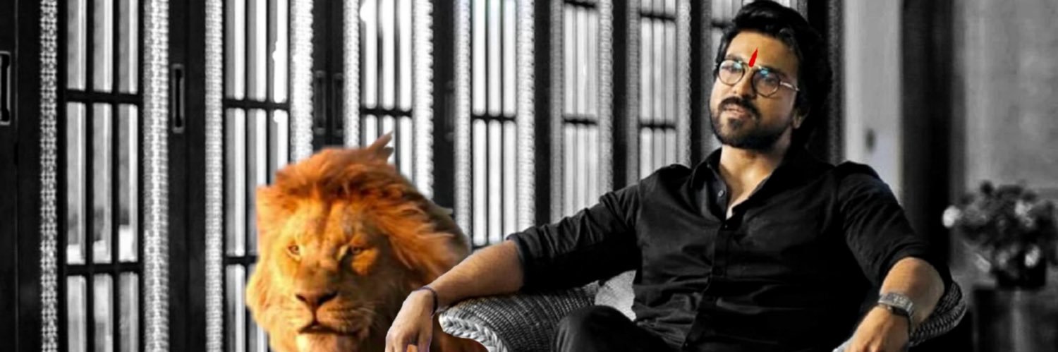 Cherry Fan😎 banner