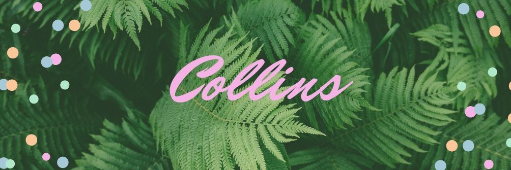 Collins banner