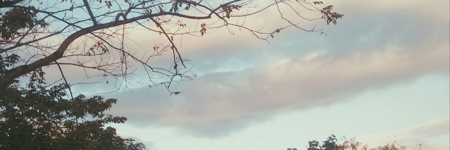 qqaki7's profile banner image