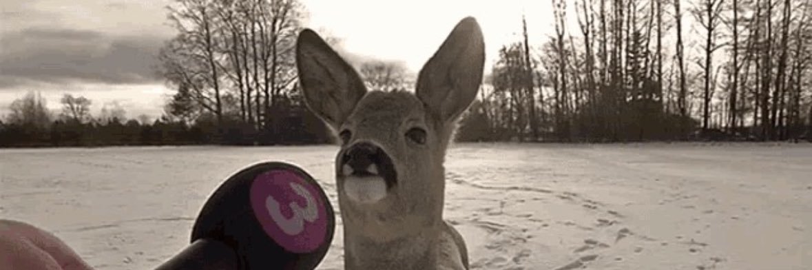 ComDotNed's profile banner image