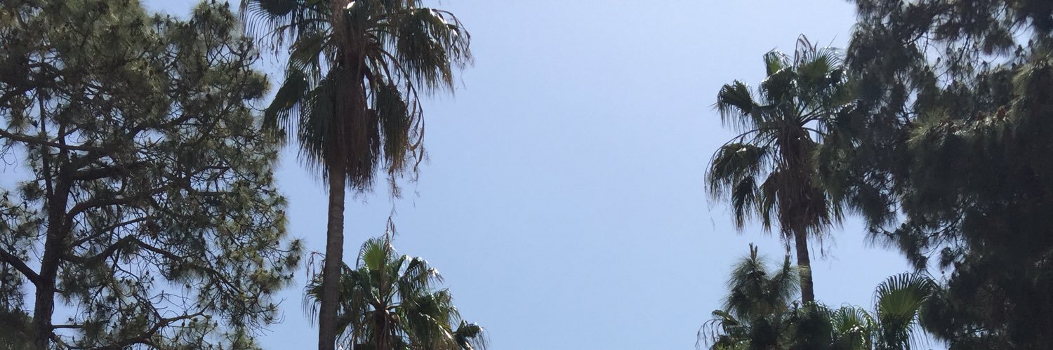 datxniall's profile banner image