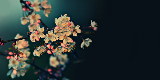 arpangestika's profile banner image