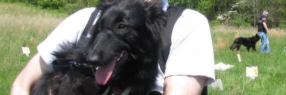 Nicole Muench Seidel #KindleVella author banner