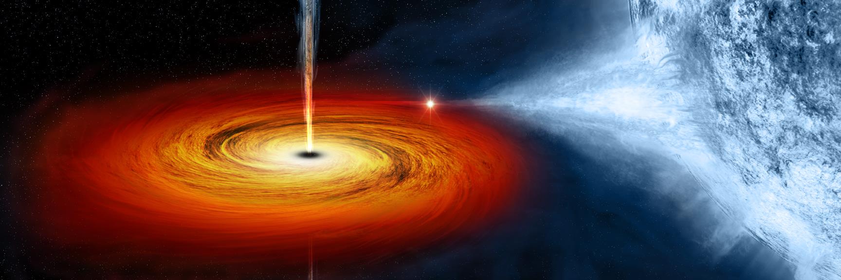 George Sekulla banner