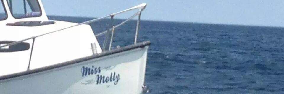 mollyridd's profile banner image