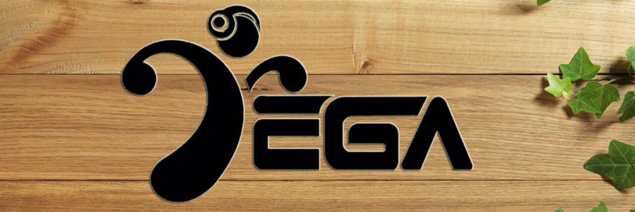 VegaBa4's profile banner image