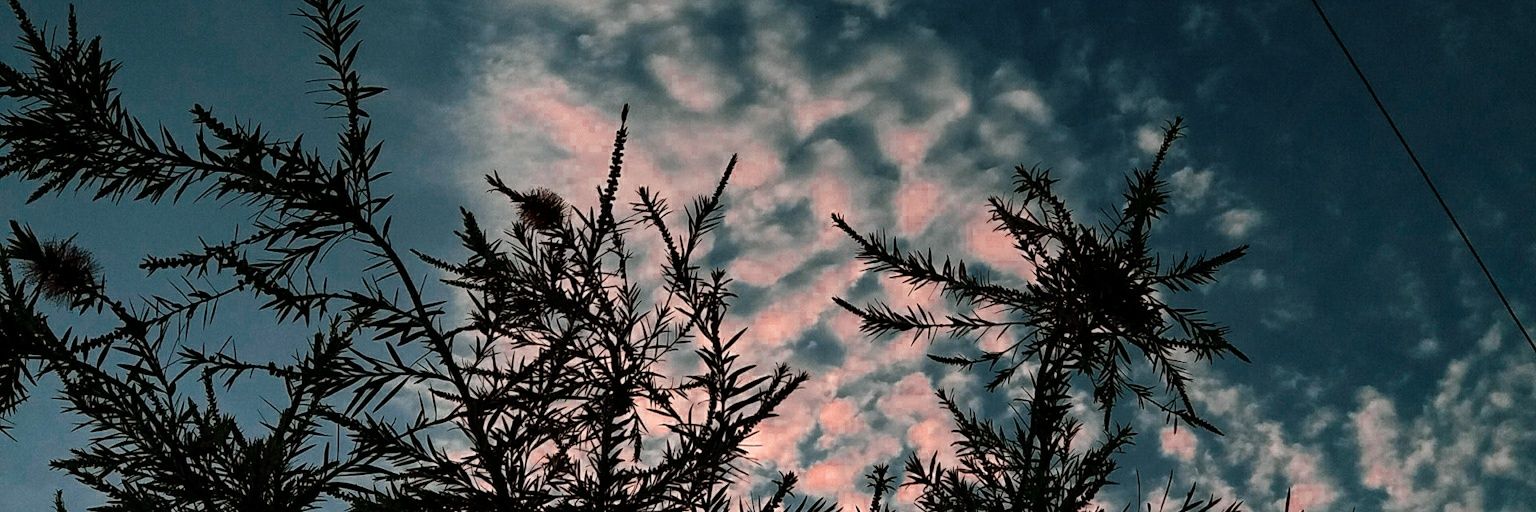 IrhaChughtai's profile banner image