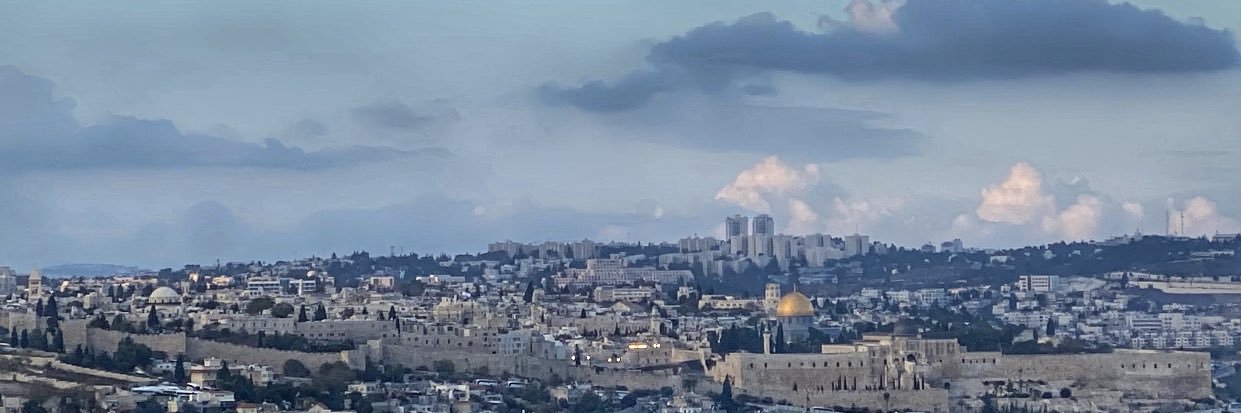Noga Tarnopolsky נגה טרנופולסקי نوغا ترنوبولسكي's banner
