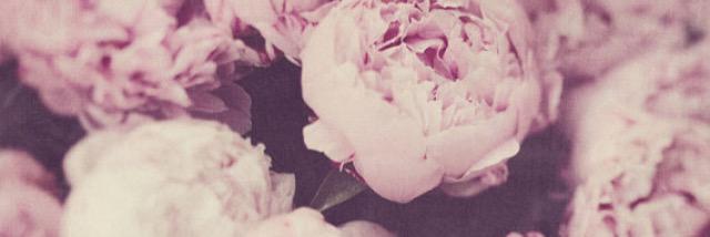 amyejohnson_'s profile banner image