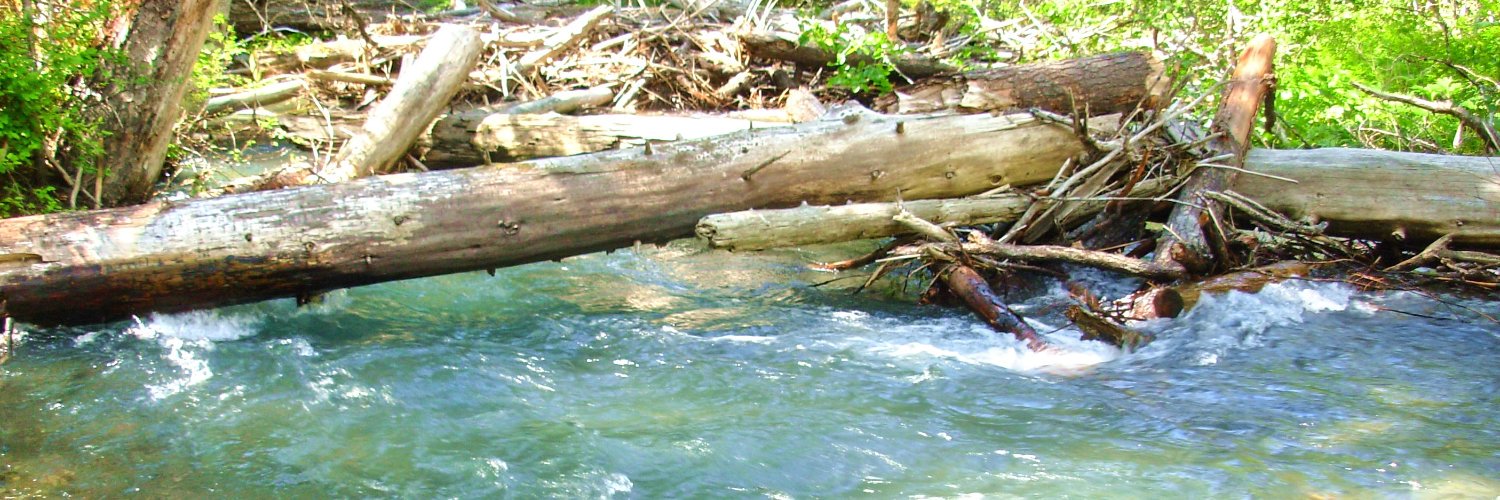 Salmona Kayak banner