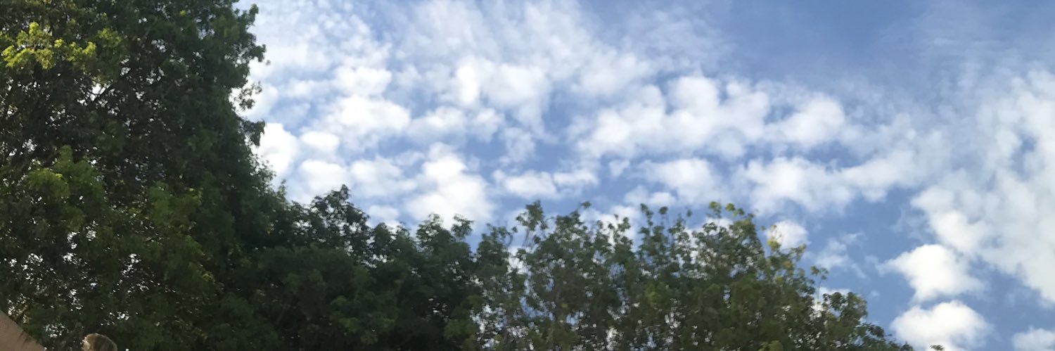 estoihartaa's profile banner image