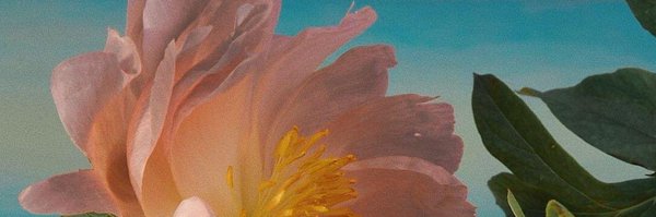 Mlie_Makeup Profile Banner