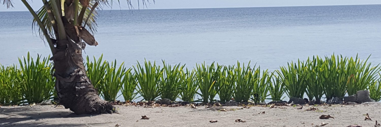 SwiftSpeed57's profile banner image