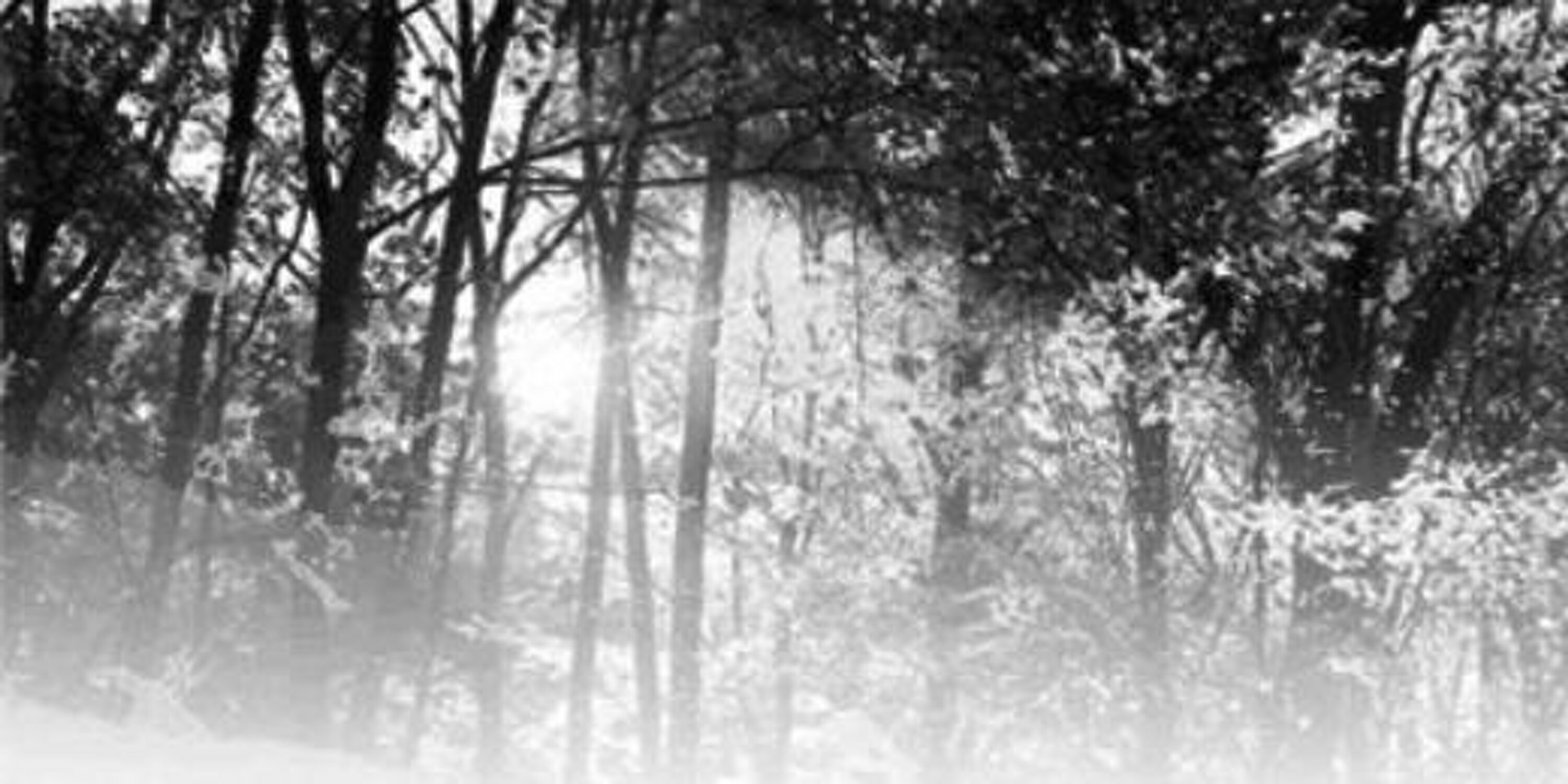 FALLofficial's profile banner image