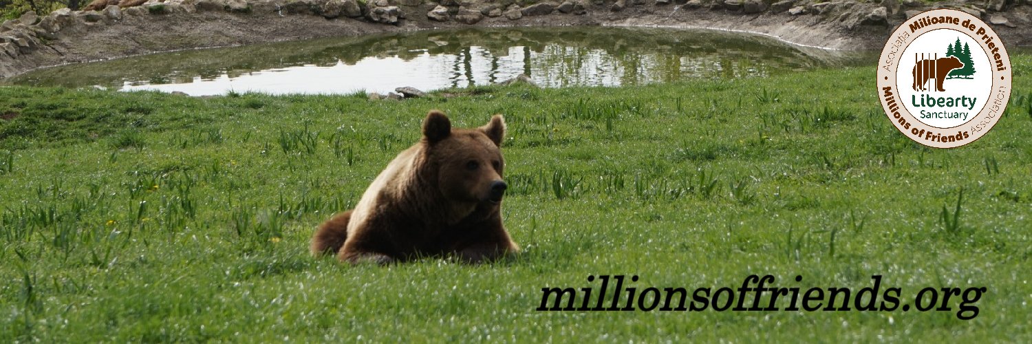 Libearty Sanctuary banner