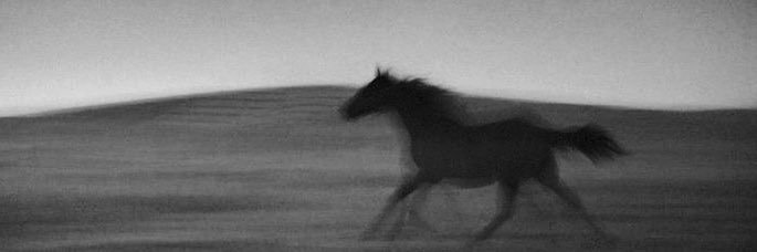 آچِلیوس banner