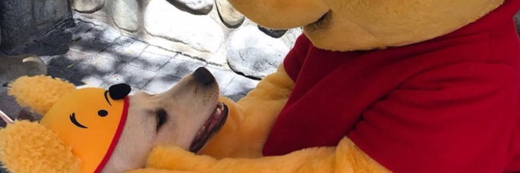 SHEARAAE's profile banner image