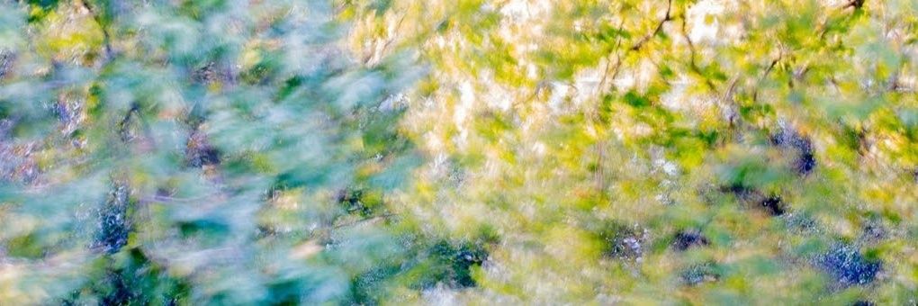 valmasferrer's profile banner image