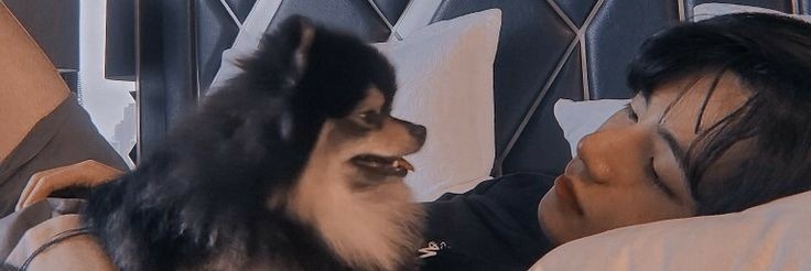 Mzelle_Todoroki's profile banner image