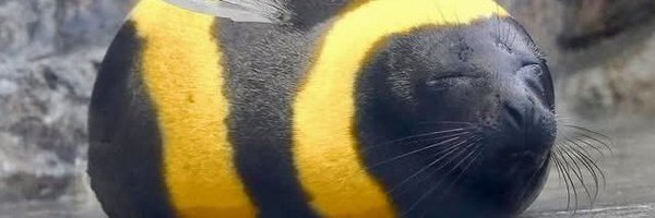 mrbillum Profile Banner