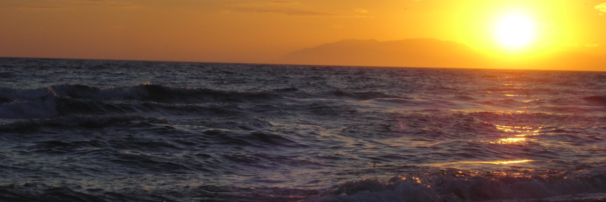 ncastrosanchez's profile banner image